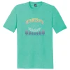 Aqua Heather